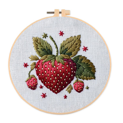 Rubbyoo Embroidery Kit- Cute Strawberry