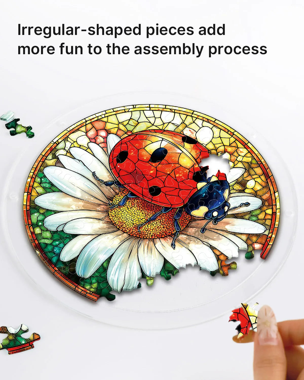 Acrylic Jigsaw Puzzle Suncatcher - Ladybug on Daisy