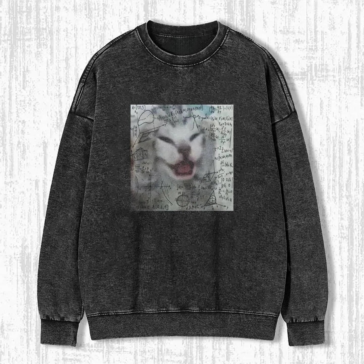 CAT MEME ICON SWEATSHIRTS