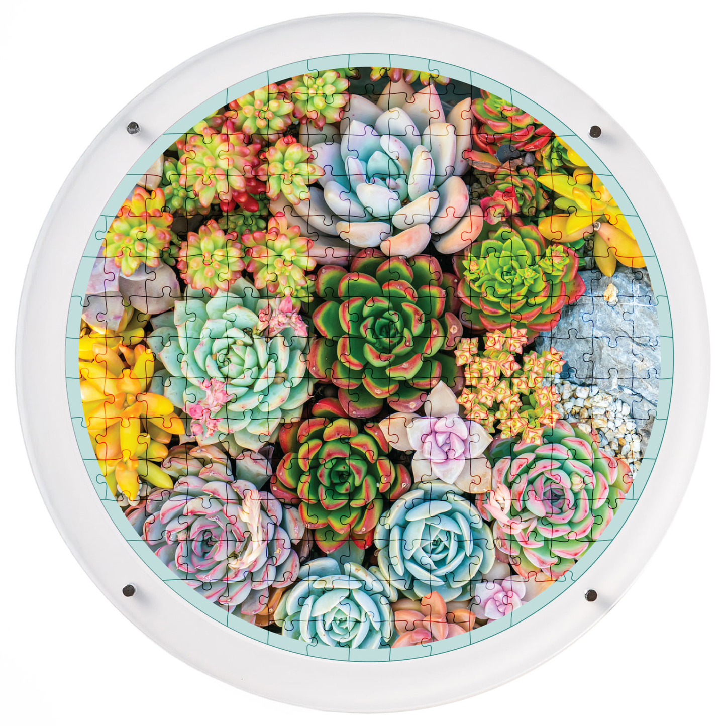 Hangable Acrylic Puzzle | Botanical Bloom