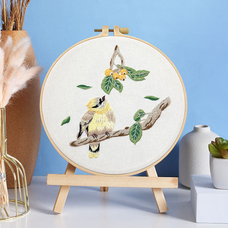 Whimsical Feathered Friends Embroidery Kit