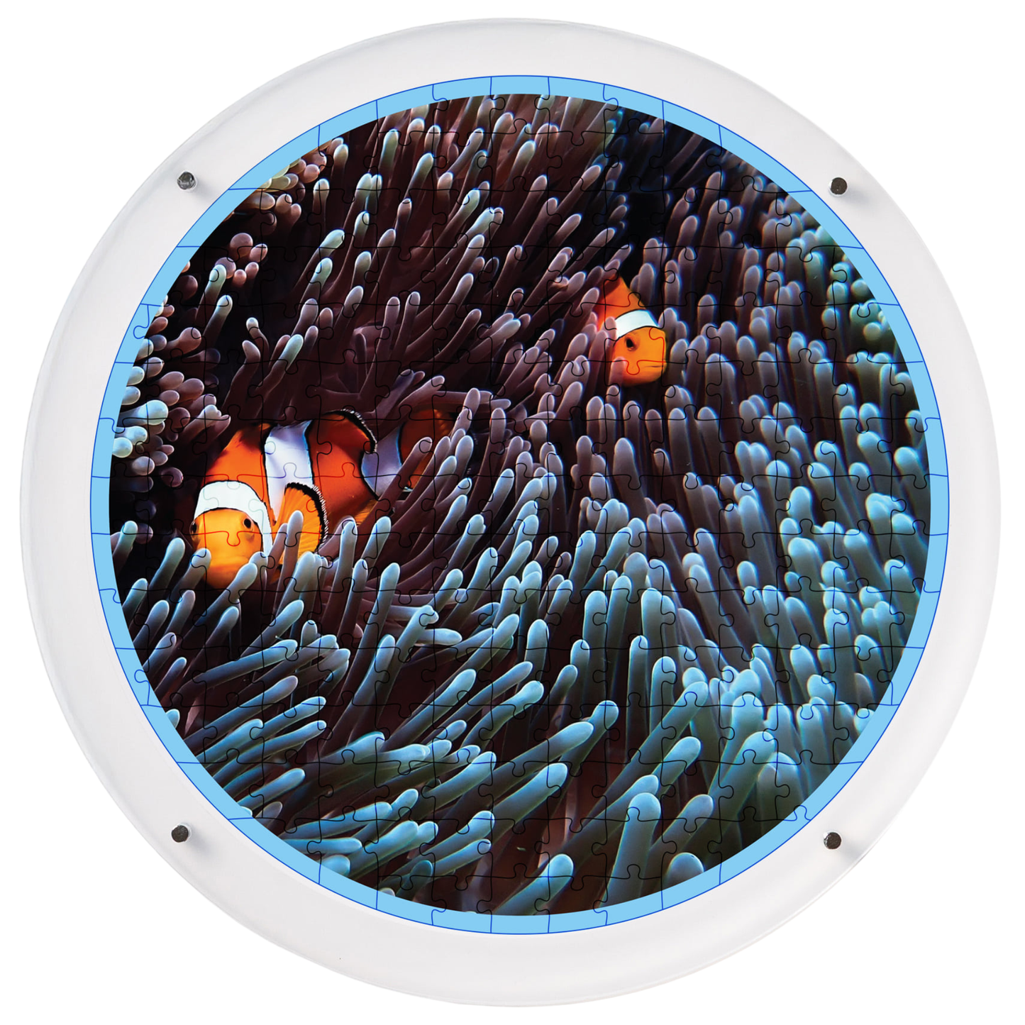 Hangable Acrylic Puzzle | Anemone Flow