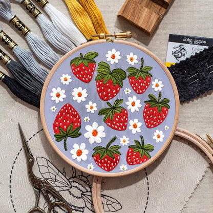 Rubbyoo Embroidery Kit- Sweet Strawberries