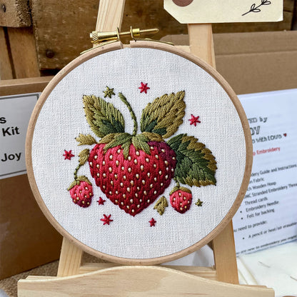 Rubbyoo Embroidery Kit- Cute Strawberry